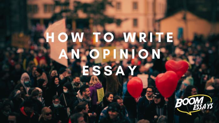 How to Write an Opinion Essay